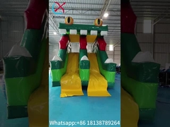 Desain Baru Inflatable Slide Frog Figure Inflatable High Double Slides Dry Slide Untuk Anak-anak Dan Dewasa