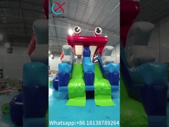 Komersial Grade Inflatable Dry Slide Frog Figure Inflatable High Double Slides Untuk Anak-anak Dan Dewasa