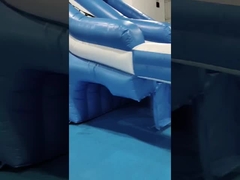 Komersial Outdoor Giant Inflatable Water Slide Octopus Kartun Inflatable Water Slide