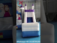 Hot Sale Air Terjun Rumah Beku Kartun Air Terjun Slide Untuk Partai Air Terjun Combo Castle