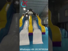 Slide Kering Inflatable Kastil Slide Ganda Slide Giant Slide Inflatable Kartun Hiu Untuk Anak-anak Dan Dewasa