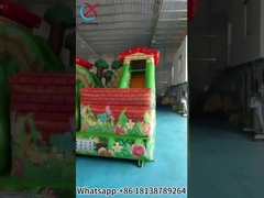 Rumah Bounce PVC Inflatable Dengan Slide Inflatable Combo