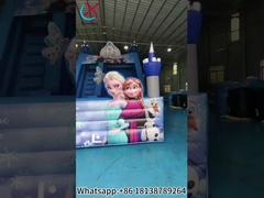 Commercial Inflatable Slide The Frozen Inflatable Single Dry Slides