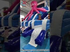 Slide Inflatable Octopus Inflatable Double Dry Slides Outdoor