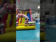 Mickey dan Minnie Slide Inflatable Double Dry Slides Castle