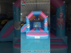 Rumah Bouncing Inflatable Dengan Slide Combos Kastil Jumping Inflatable