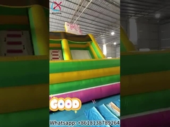 Bouncy Castle My Little Pony Rumah Lompatan Inflatable Dengan Slide Combo