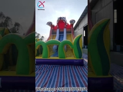 Slide Inflatable Karikatur Harimau Slide Inflatable Double Dry Untuk Anak-anak