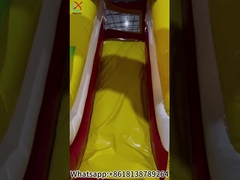 Kebun Binatang Kota Fun Inflatable Bouncy House Slide Castle